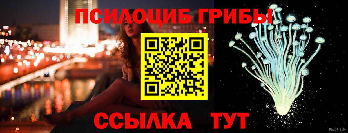 Георгиевск  Псилоцибиновые грибы GOLDEN TEACHER  Вход с VPN 